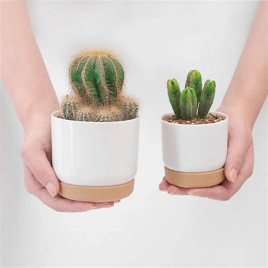 Self-Watering Double-Layer Succulent Planter – Automatic Water Absorption Pot - Image 5