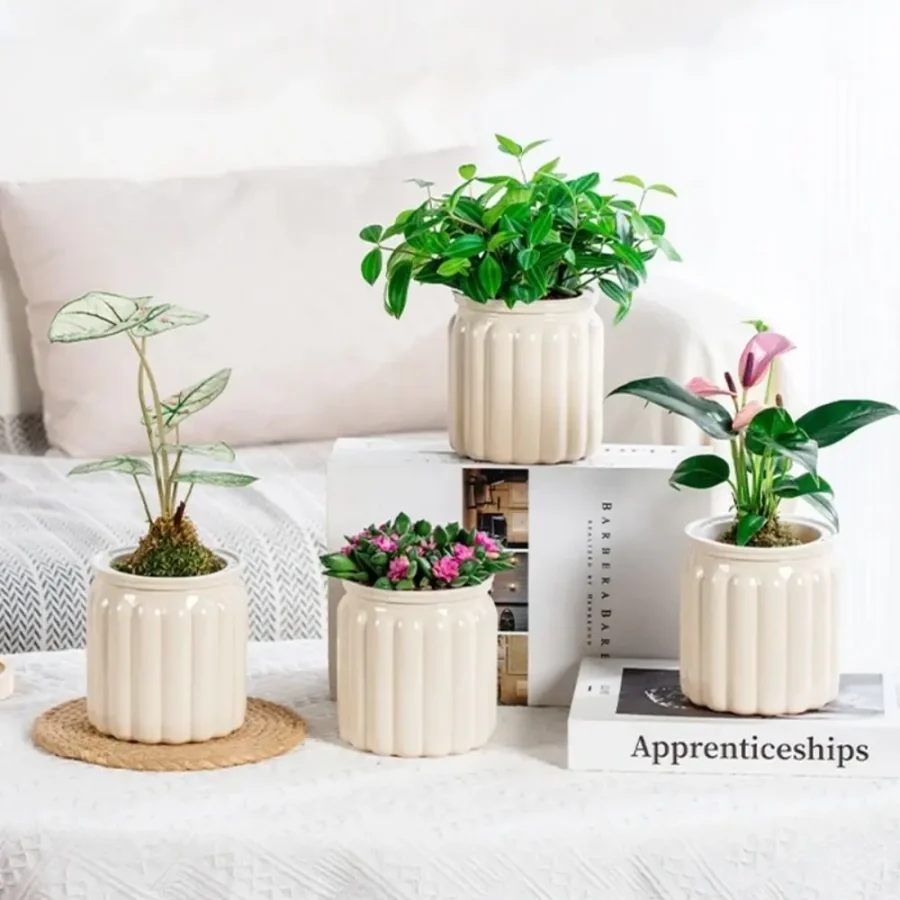 Self-Watering Hydroponic Mini Planter – Removable Plastic Pot for Succulents & Office Decor - Image 5