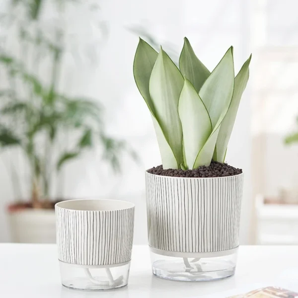 Self-Watering Hydroponic Flower Pot – Thick Plastic Desktop Planter with Water Storage