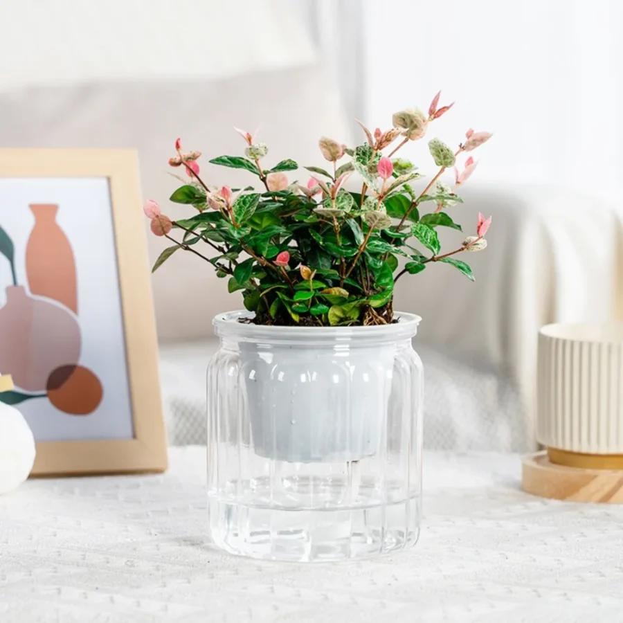 Self-Watering Hydroponic Mini Planter – Removable Plastic Pot for Succulents & Office Decor - Image 2