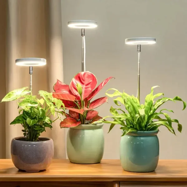 LED Grow Light with Timer – Full Spectrum Dimmable Plant Lamp for Indoor Gardening