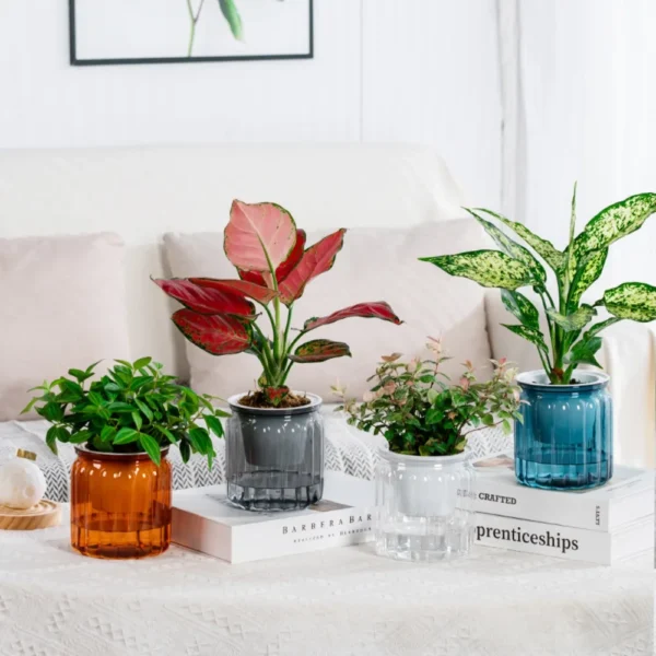 Self-Watering Hydroponic Mini Planter – Removable Plastic Pot for Succulents & Office Decor