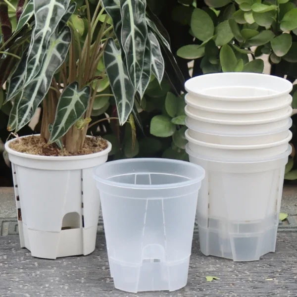 Self-Watering Transparent Planter Pot with Drainage – Indoor/Outdoor Garden Decor