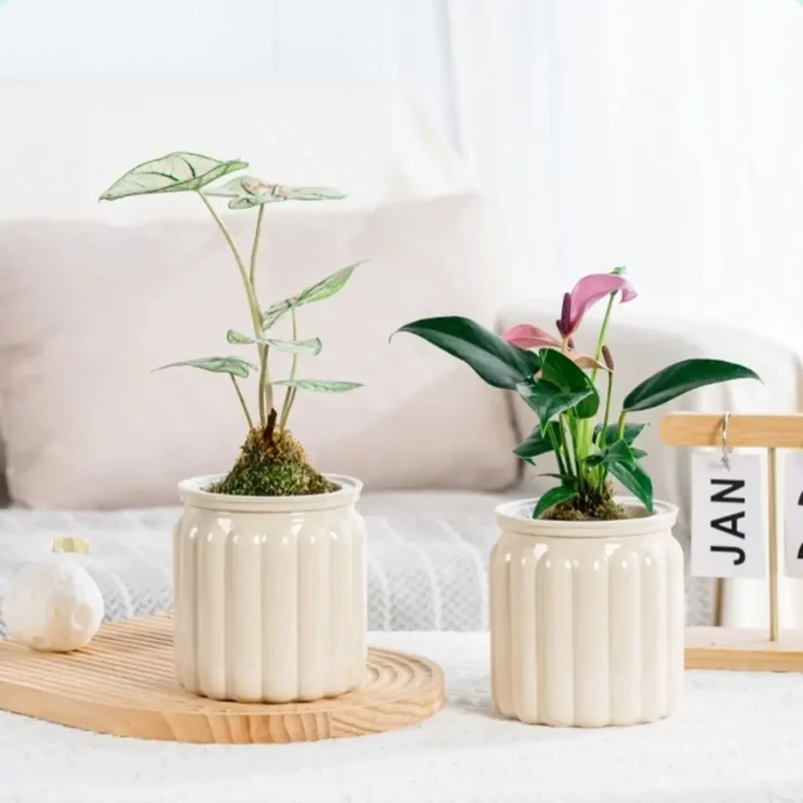 Self-Watering Hydroponic Mini Planter – Removable Plastic Pot for Succulents & Office Decor - Image 3
