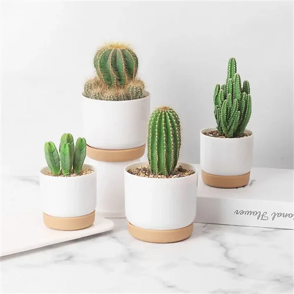 Self-Watering Double-Layer Succulent Planter – Automatic Water Absorption Pot