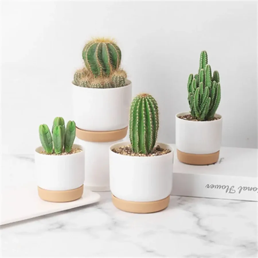 Self-Watering Double-Layer Succulent Planter – Automatic Water Absorption Pot