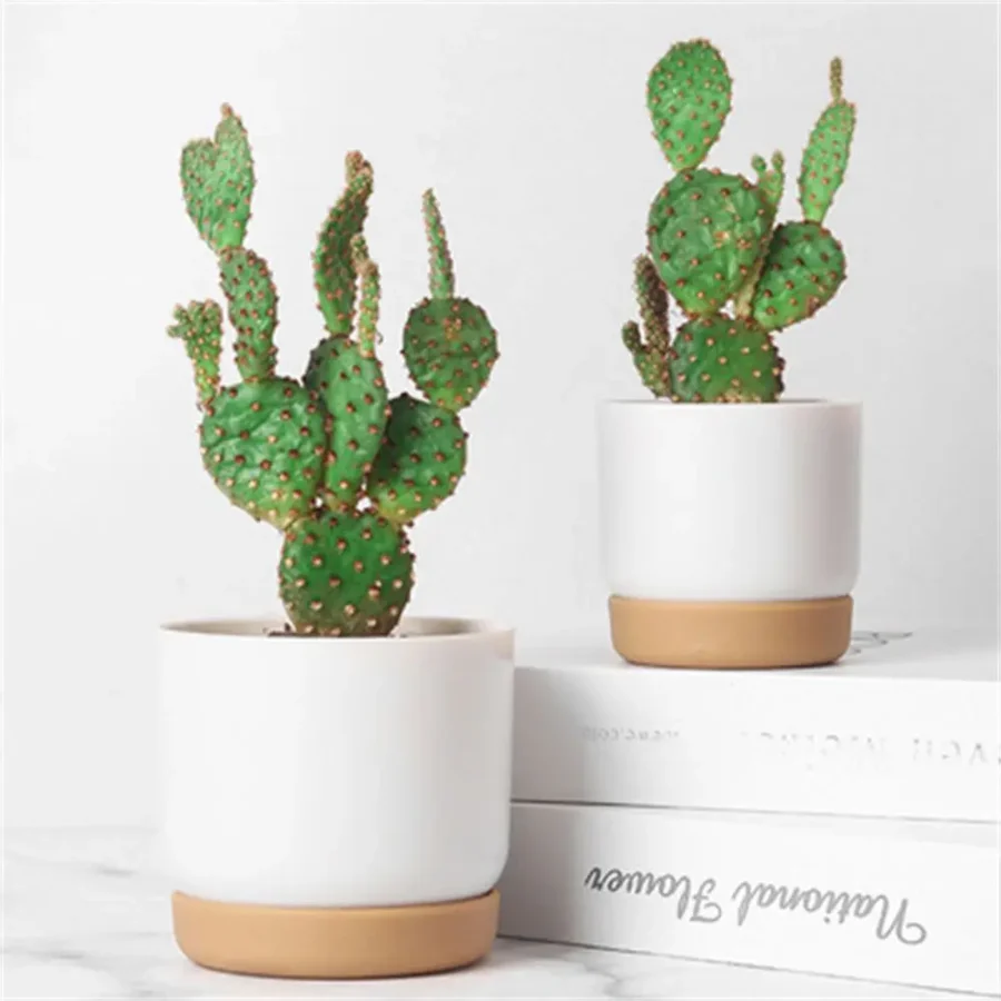 Self-Watering Double-Layer Succulent Planter – Automatic Water Absorption Pot - Image 3